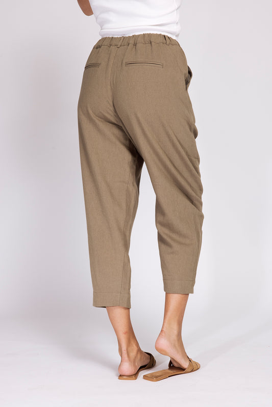 Dilea Pant