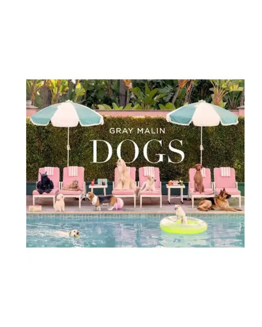 Gray Malin: Dogs