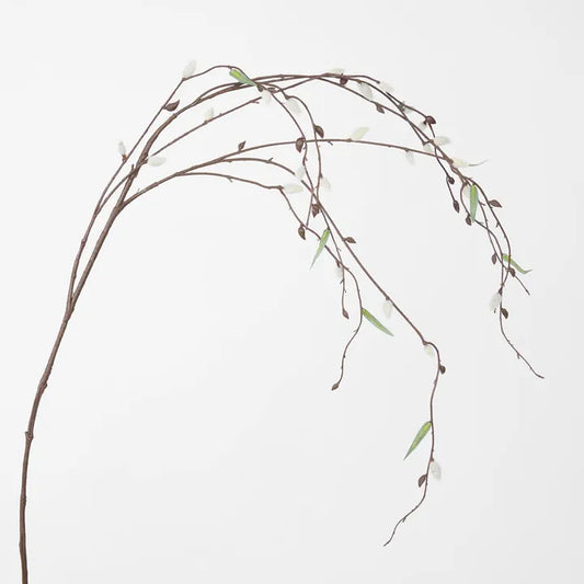Pussy Willow Stem