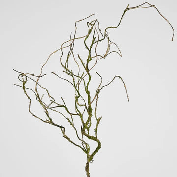 Twig Vine 109 cm Dry Natural
